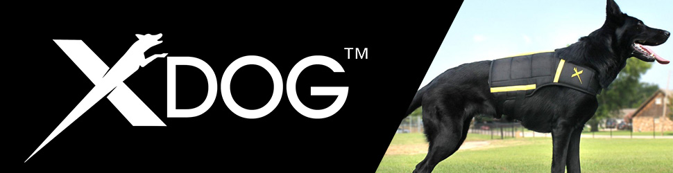Visit XDog.com