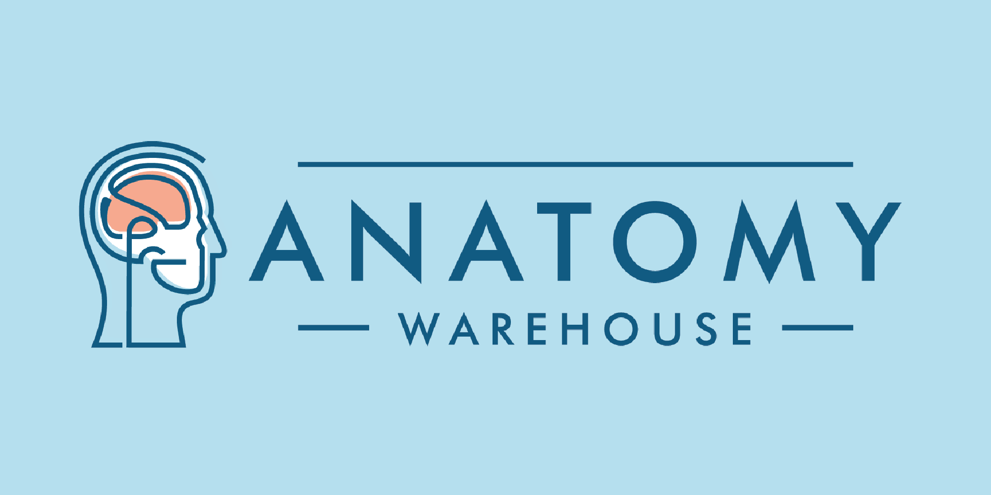 Hands-On Partners: The Anatomy Warehouse Affiliate Program