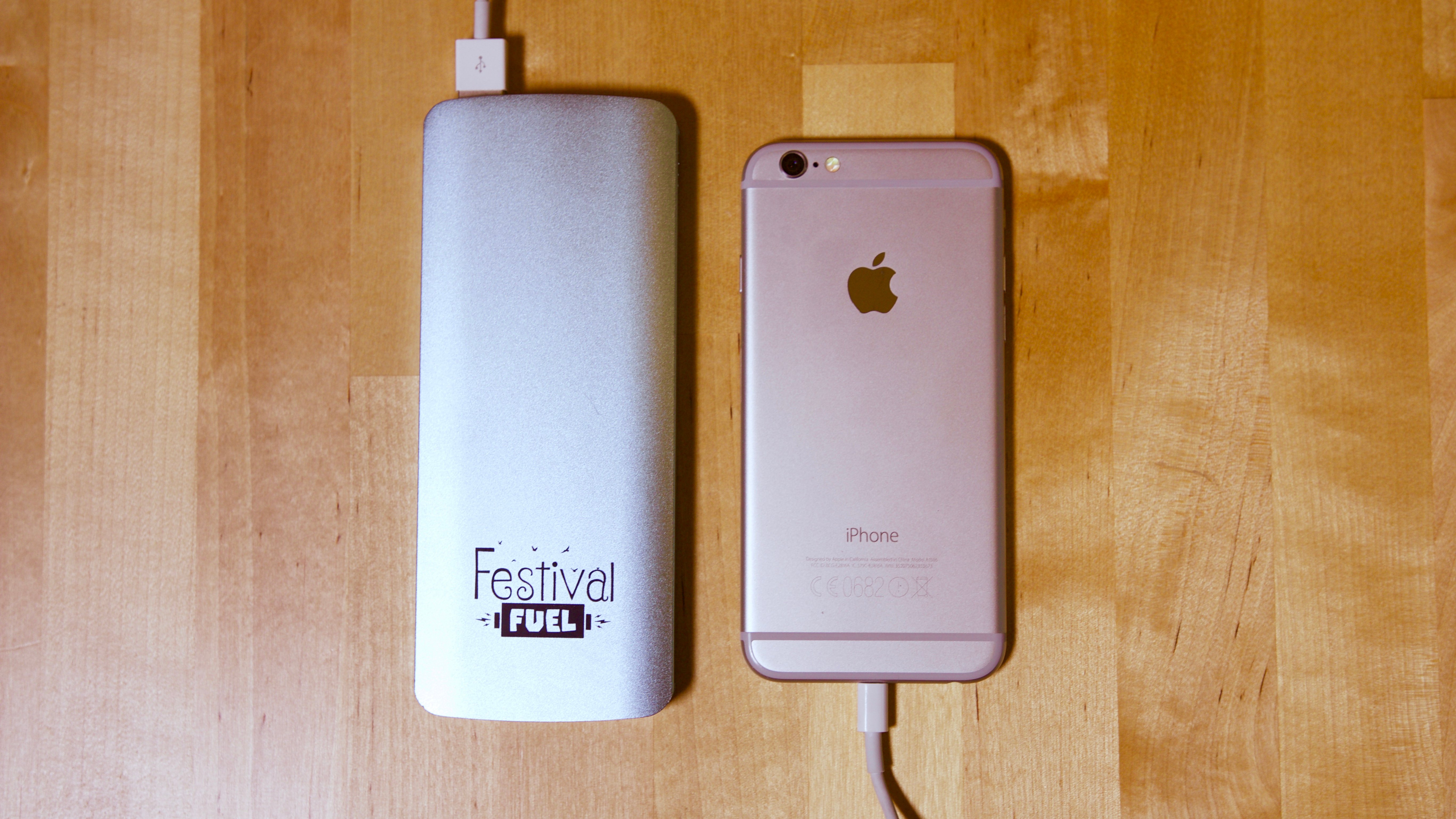 Festival Portable Charger