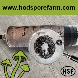 HOD Spore Farm